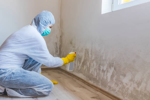 Mold inspector in Mantua performing thermal imaging